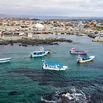 Cabanas En Caleta Chanaral De Aceituno